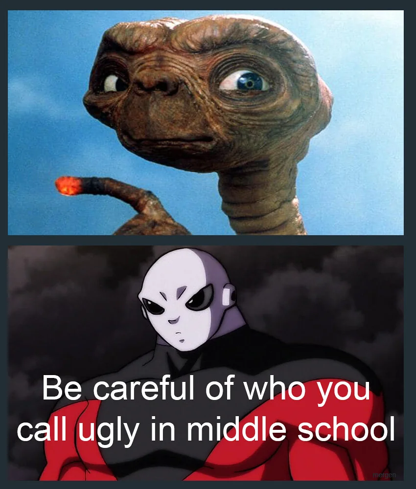 meme mèo bựa mèo suy tư về cuộc sống