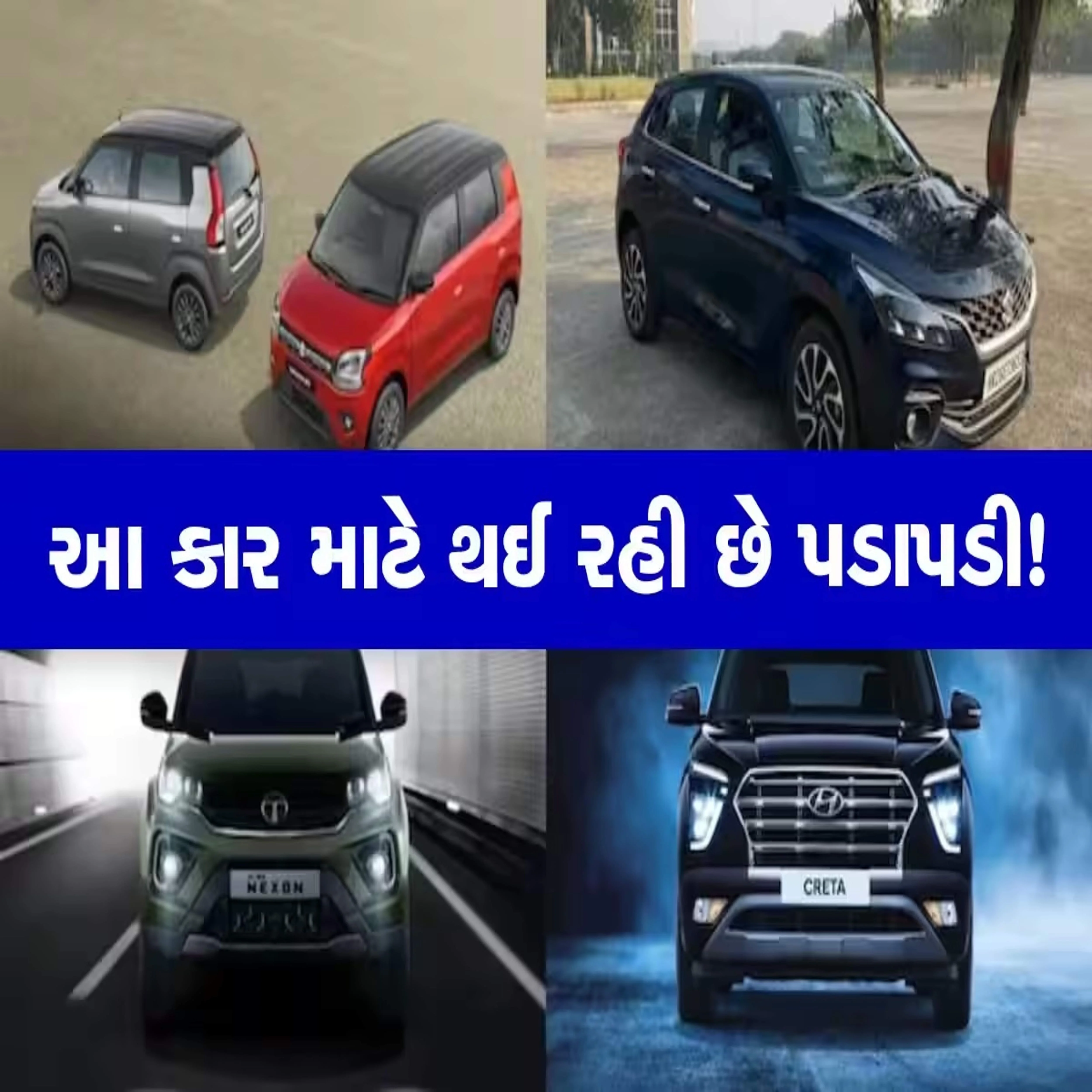 Mèo meme miệng mở nhìn phía trên