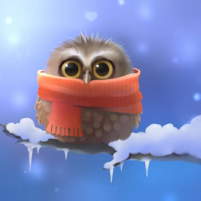 Hình nền iPad cute chú cú mèo quàng khăn