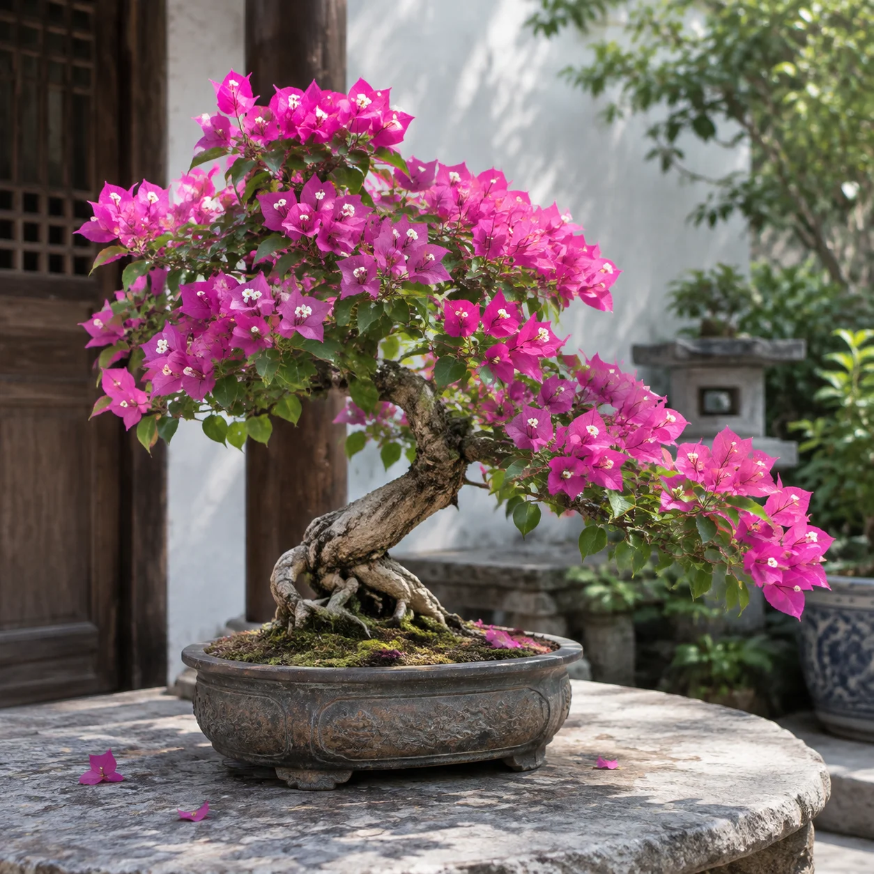 Ảnh 26 minh hoạ ảnh hoa giấy
