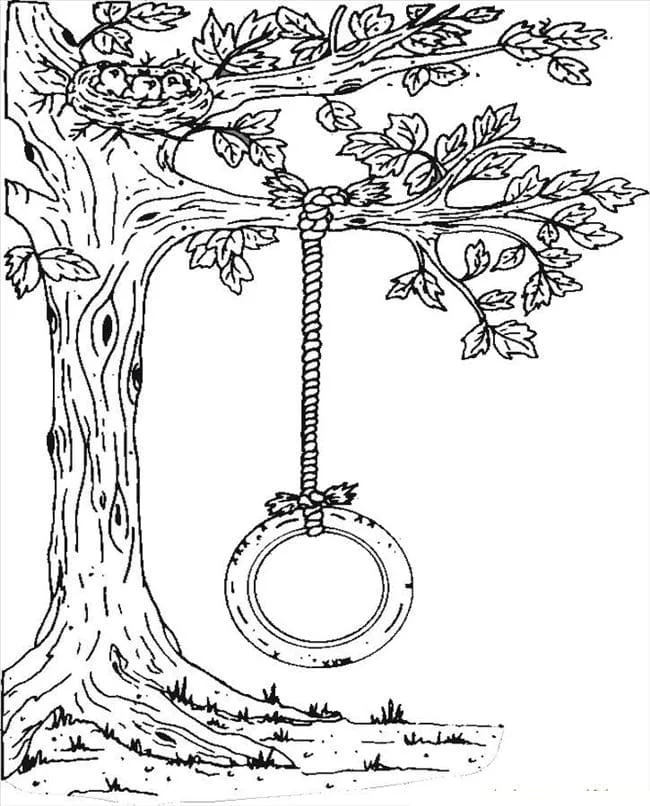 Xích Đu Lốp Xe
