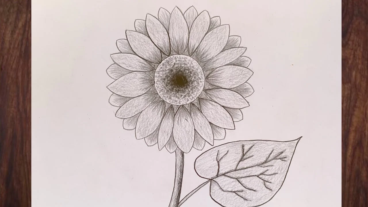 Vẽ ĐỀ TÀI TĨNH VẬT cách vẽ hoa hướng dương không bị méo | how to draw sunflower #vetranh