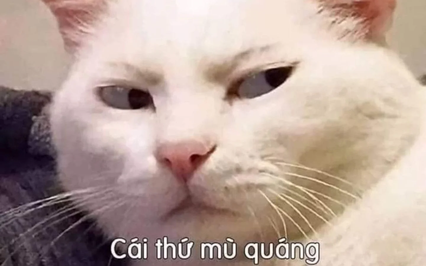 meme hai 43