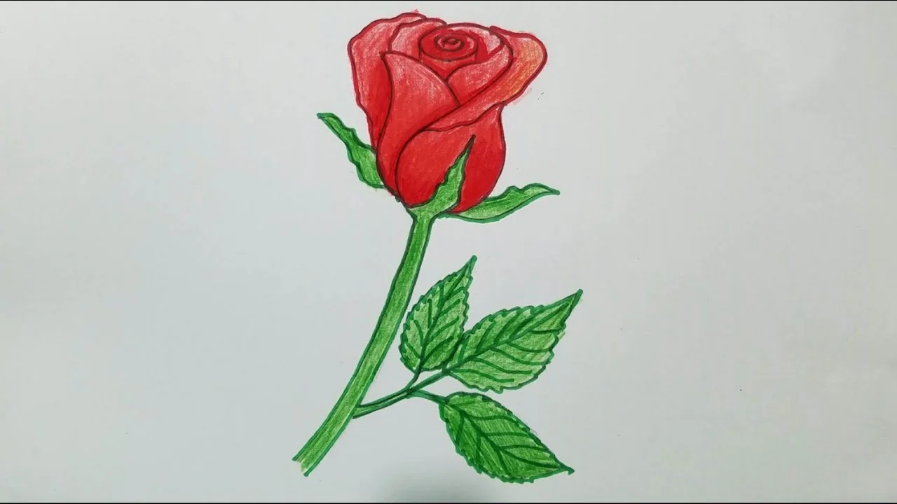 tranh vẽ hoa hồng đỏ rực rỡ trên giấy