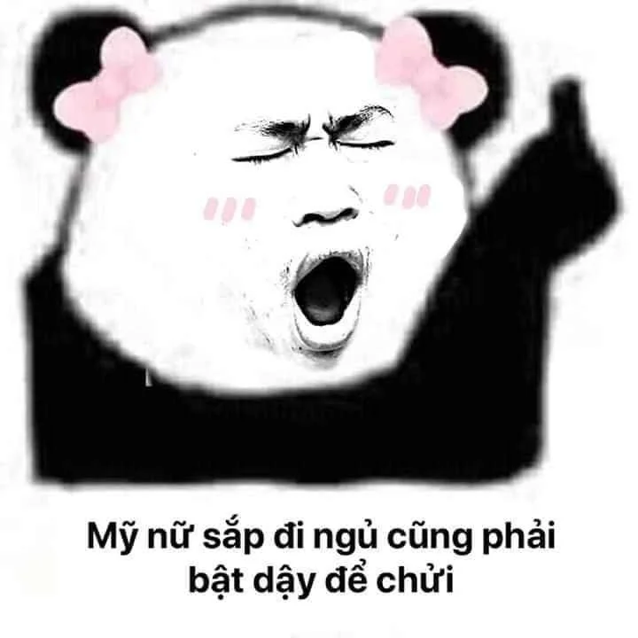 meme hài bựa
